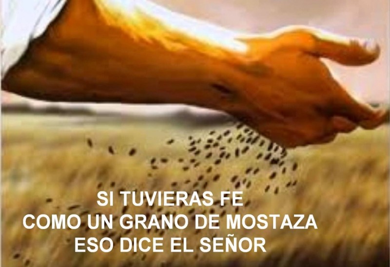 Grano de mostaza