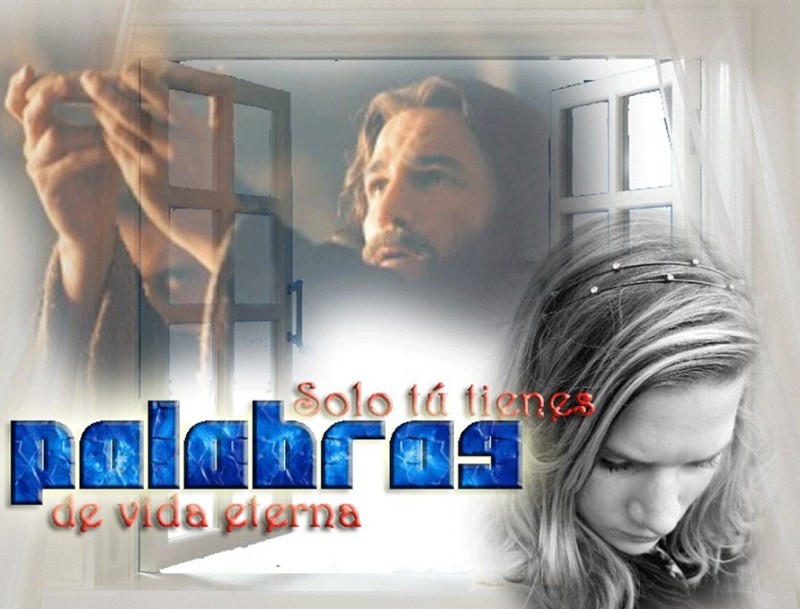Tu tienes